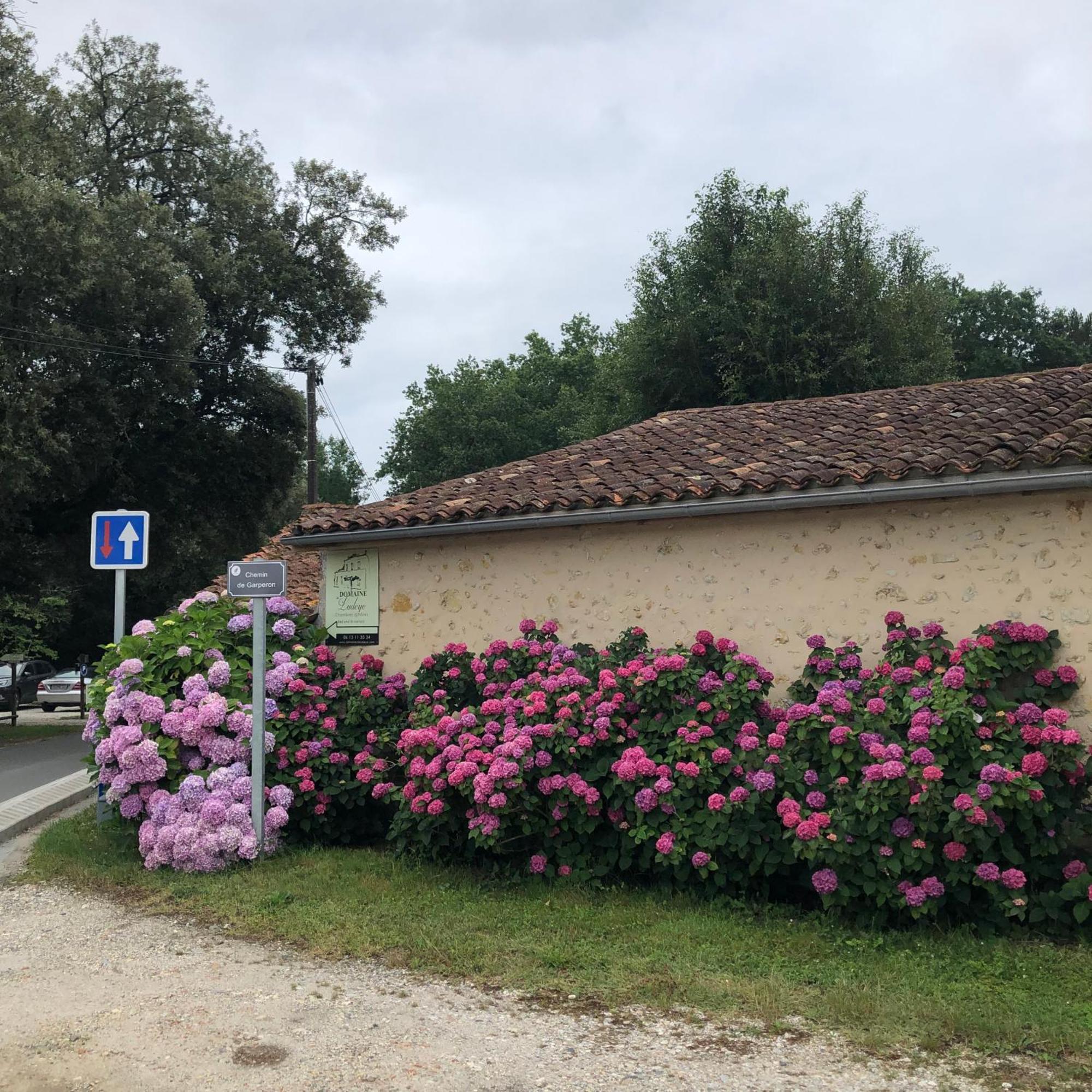 فندق Domaine De Ludeye Listrac-Médoc المظهر الخارجي الصورة