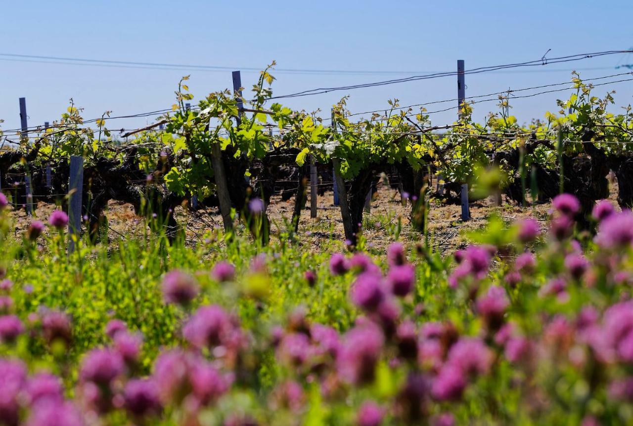 فندق Domaine De Ludeye Listrac-Médoc المظهر الخارجي الصورة