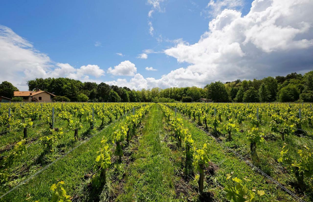 فندق Domaine De Ludeye Listrac-Médoc المظهر الخارجي الصورة